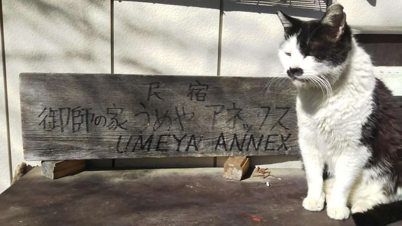 Umeya Annex ξενώνας Fujikawaguchiko Εξωτερικό φωτογραφία